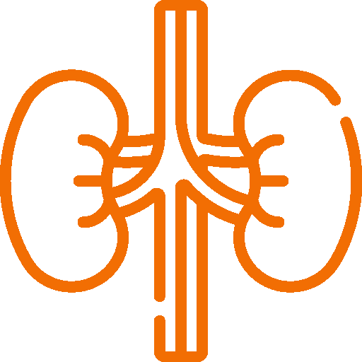Logo of Nephrology Department - Green Life Hospital