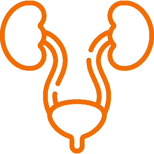 Logo of Urology Department - Green Life Hospital