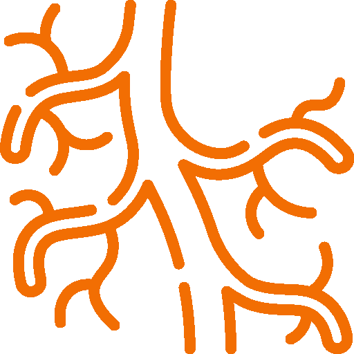 Logo of Vascular Surgery Department - Green Life Hospital